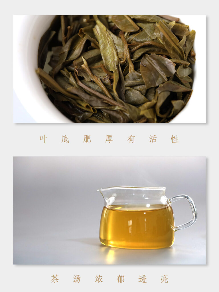 2025巳巳如意 蛇年纪念饼