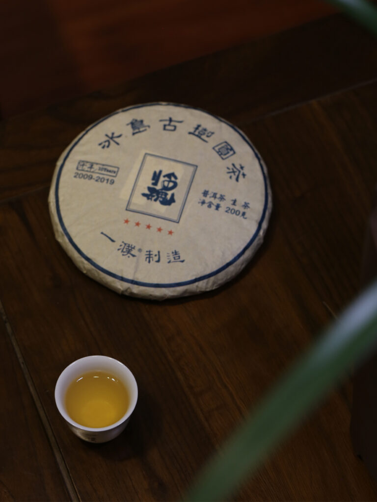 2019冰岛古树茶临魂