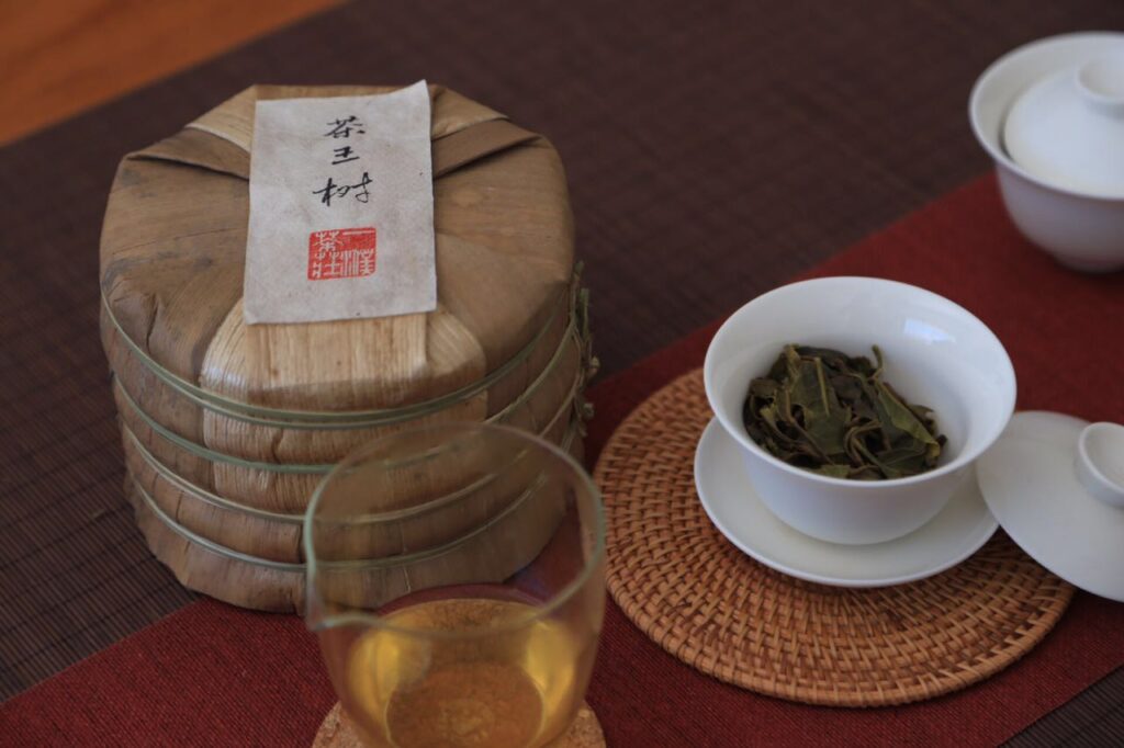 2017易武刮风寨茶王树