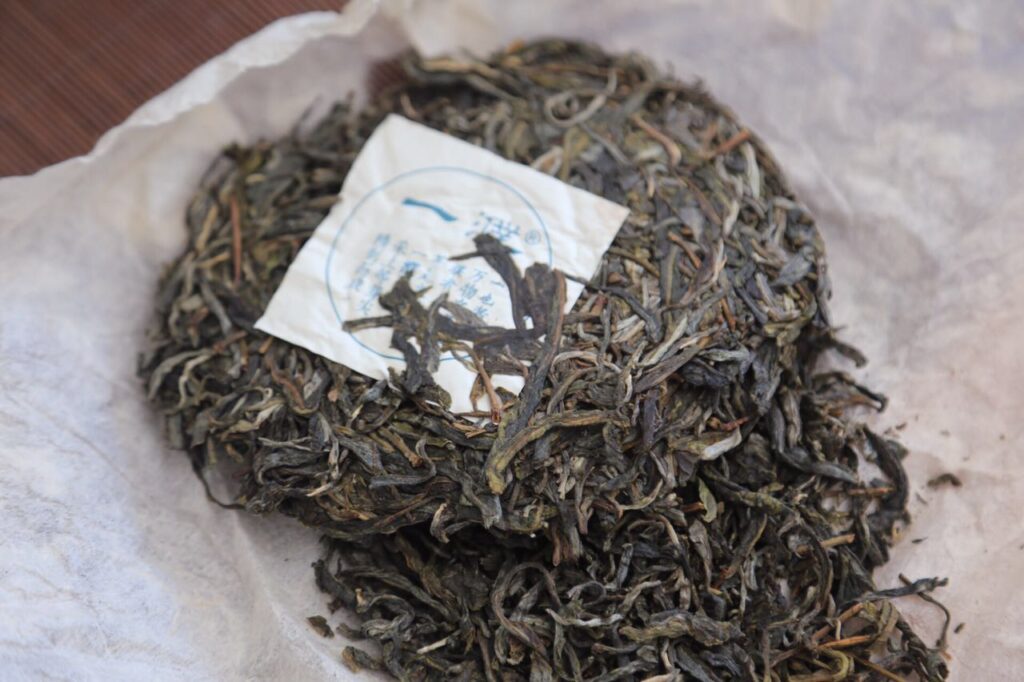2017易武刮风寨茶王树