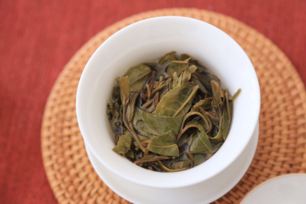 2017易武刮风寨茶王树