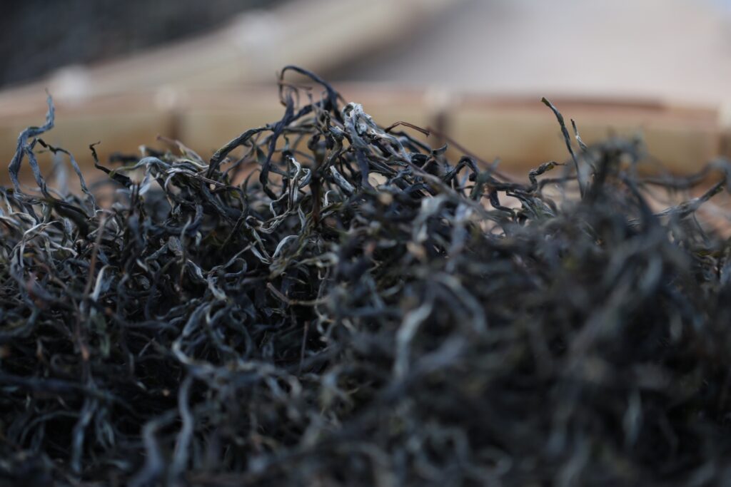 易武铜箐河古树茶的口感特点插图1 易武铜箐河古树茶