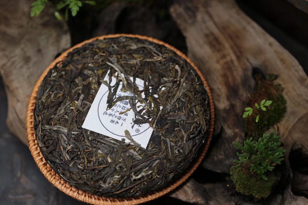 2018南糯山古树茶