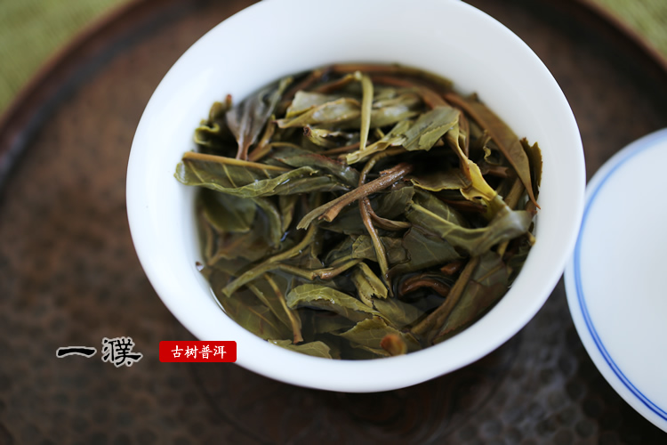 2015 落水洞