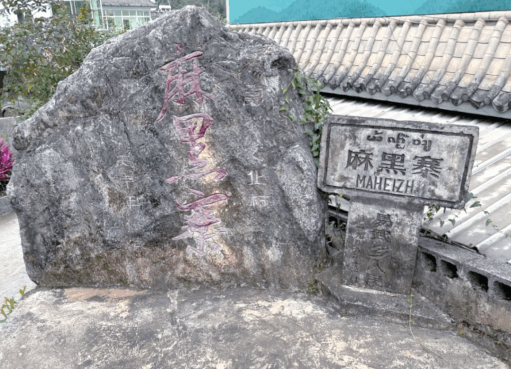 易武麻黑古树茶口感特点插图1 易武麻黑古树茶口感特点插图1