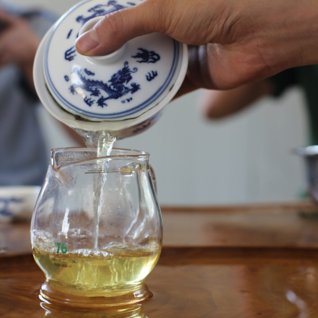 倚邦古树茶的口感特点插图4 倚邦