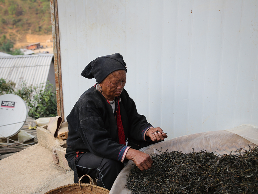 易武弯弓古树茶的口感特点插图 易武弯弓