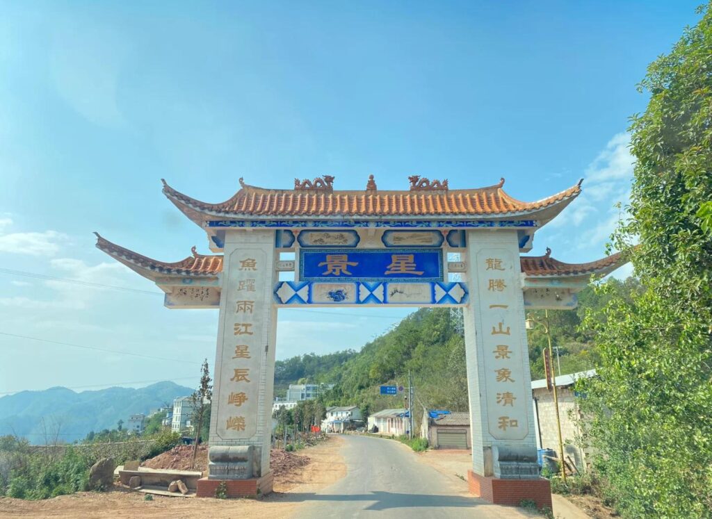 墨江凤凰窝古树茶口感特点插图1 墨江凤凰窝古树茶口感特点插图1