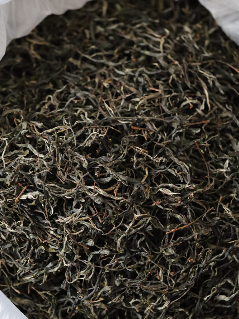 易武曼撒古树茶口感特点插图1 易武曼撒