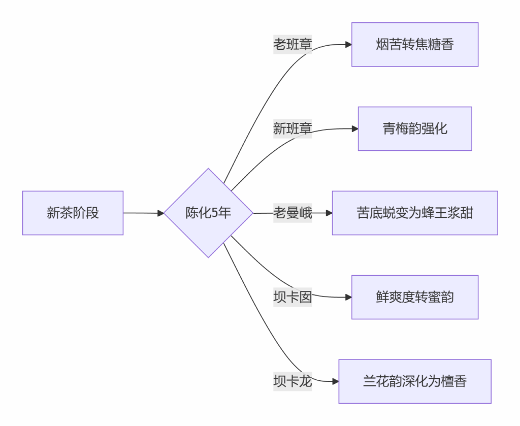 班章五寨的口感特点——细微处比较插图5 班章五寨的口感特点——细微处比较插图5