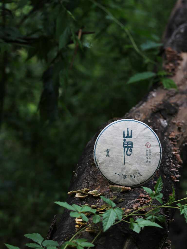 2020易武山鬼古树茶