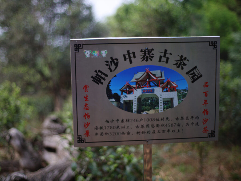 帕沙