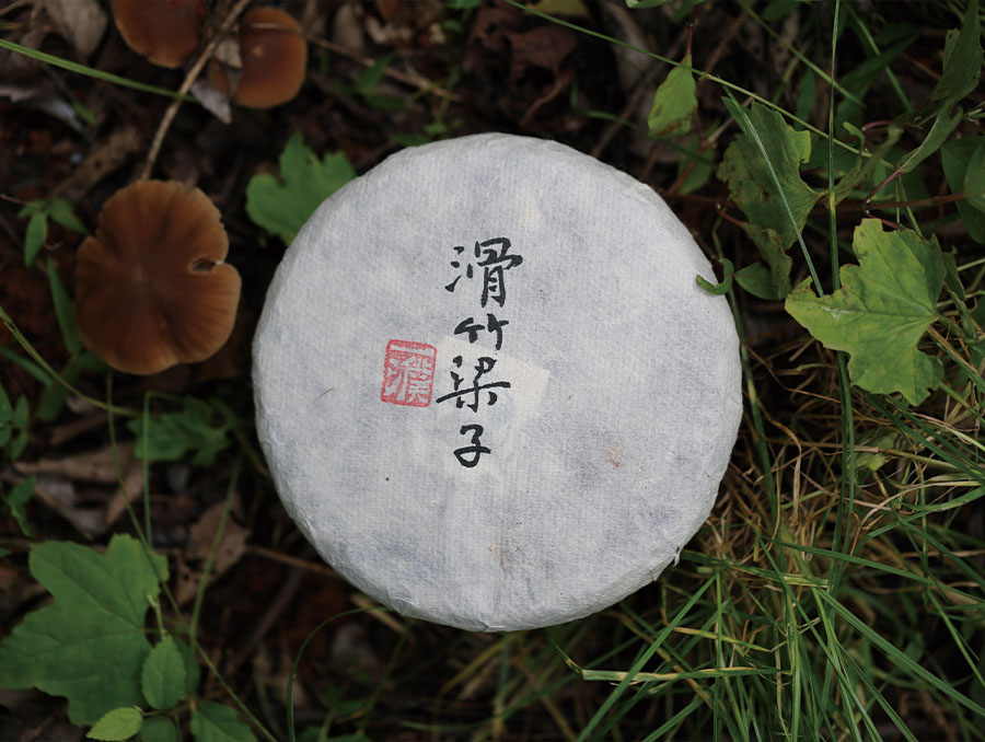 2020滑竹梁子古树茶