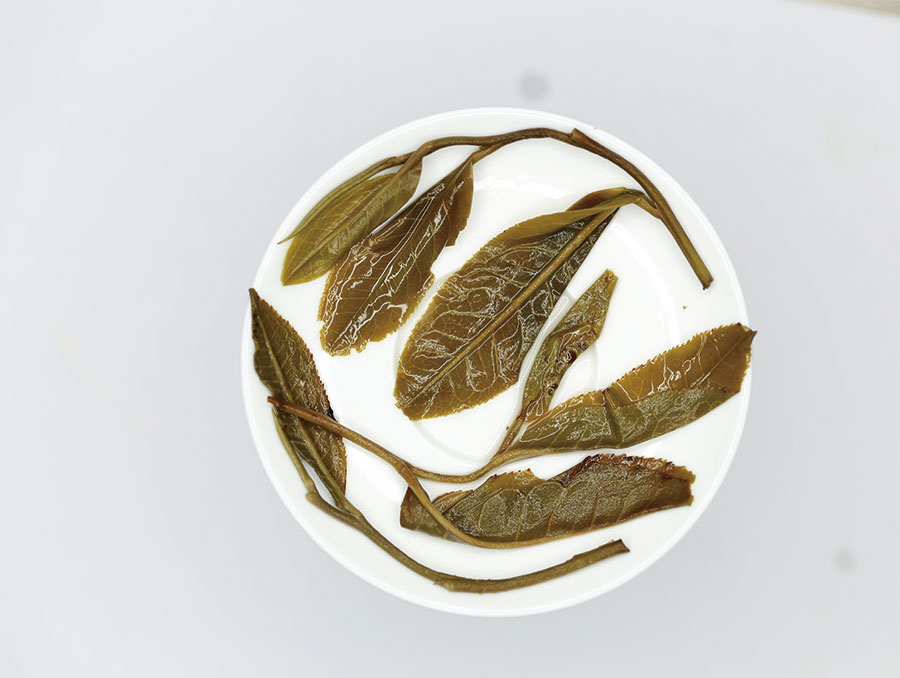 2020易武弯弓古树茶