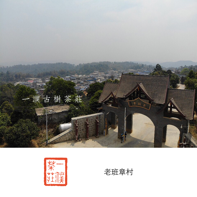 2020老班章古树圆茶