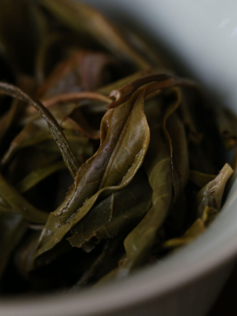 2022崎踪老班章古树茶