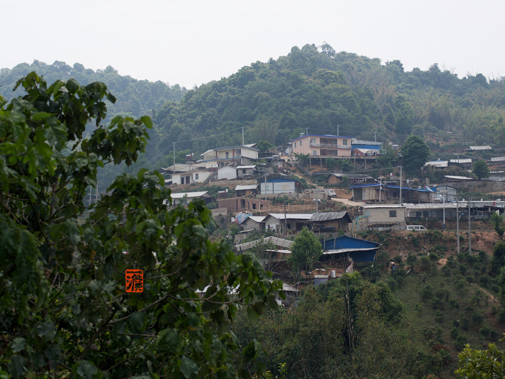 2022勐宋曼西良古树茶