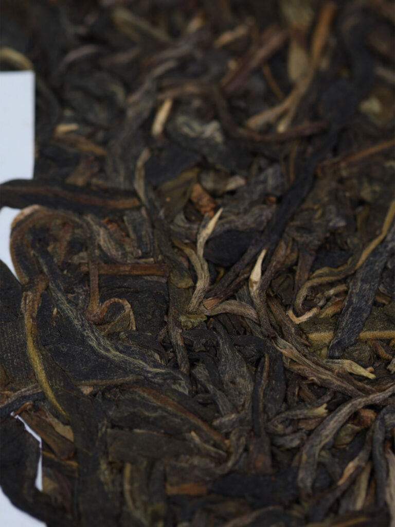 2022易武蟒蛇箐古树茶