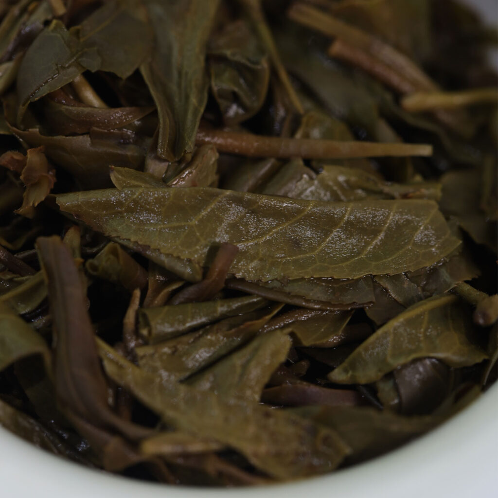 2022山鬼 易武国有林旗舰