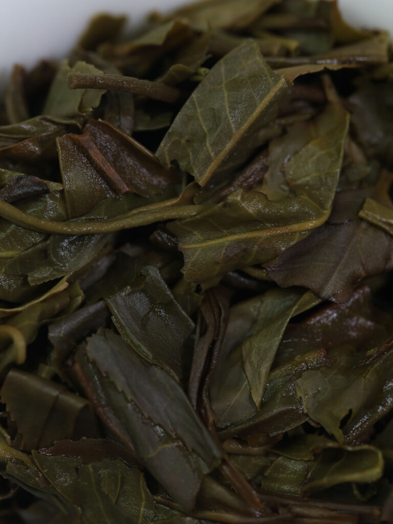 2022易武蟒蛇箐古树茶