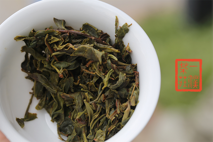 2020昔归古树圆茶