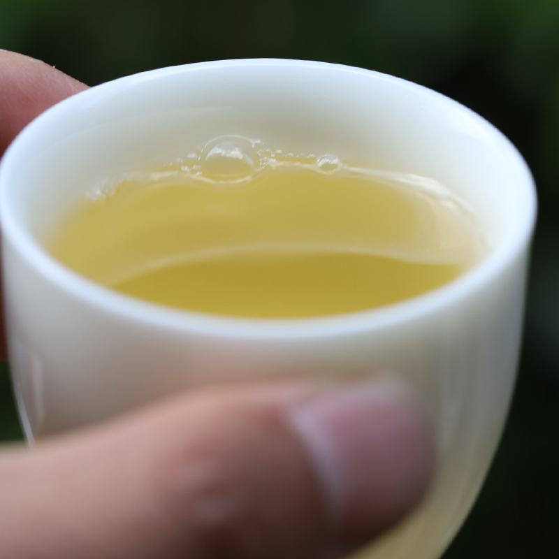 2024匠 易武国有林