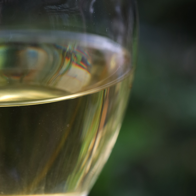 2024匠 易武国有林