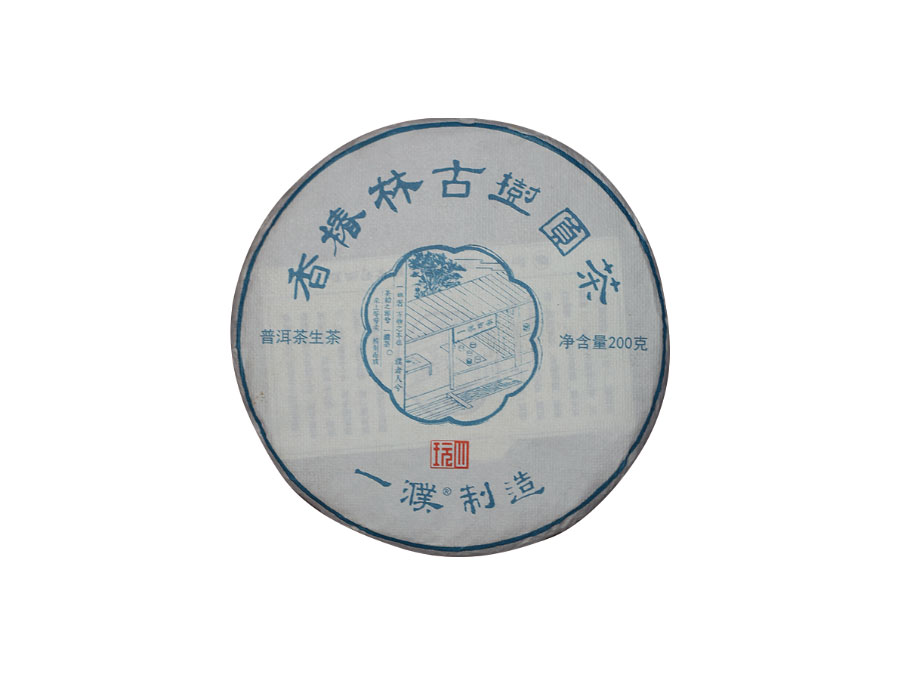 2022易武香椿林古树茶