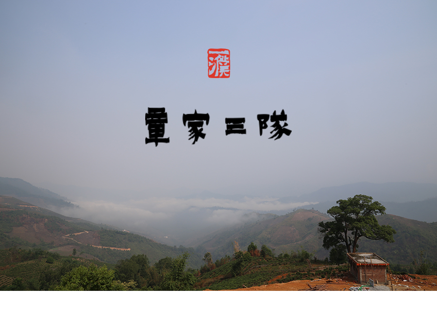 2024章家三队 游山玩茶系列