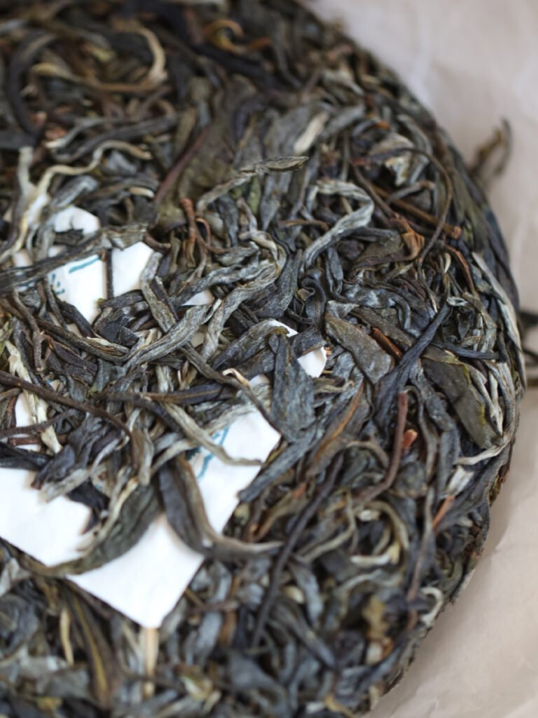 2024匠 易武国有林