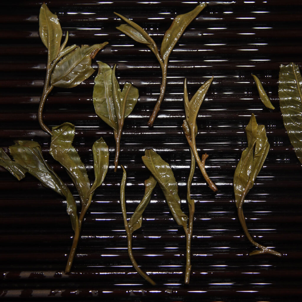 2025易武薄荷塘古树茶