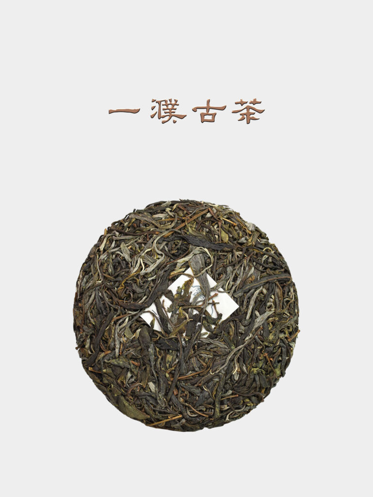 2026冰岛老寨古树茶