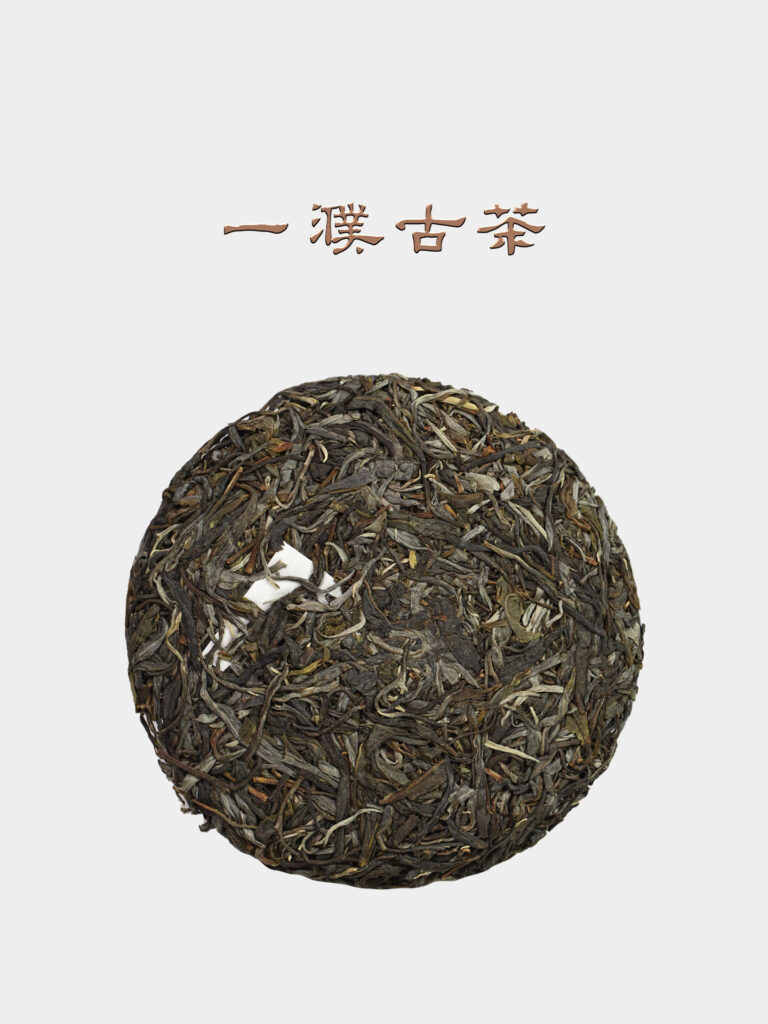 2026薄荷塘