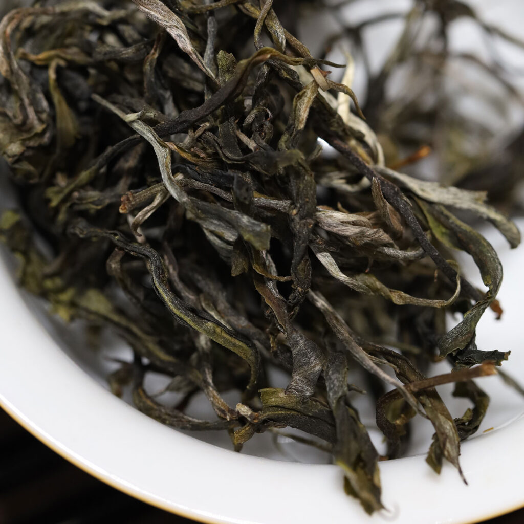 2026倚邦古树茶一濮古茶