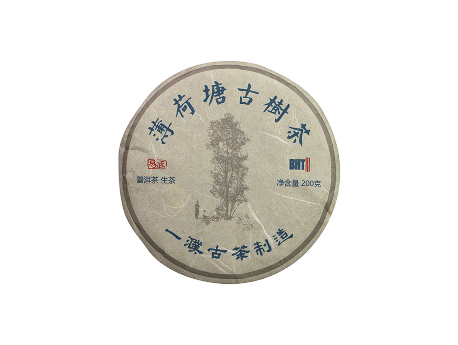 2026易武薄荷塘