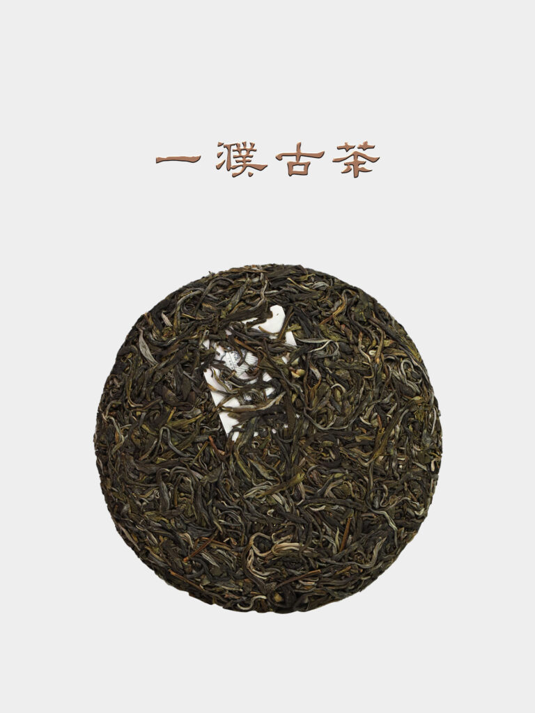 2026倚邦古树茶一濮古茶