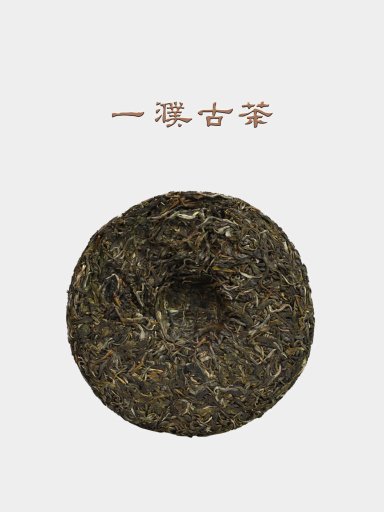 2026倚邦古树茶一濮古茶